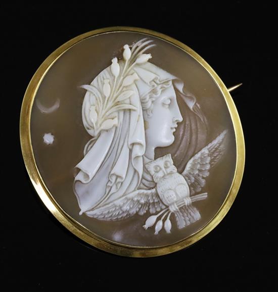 A case Victorian gold mounted oval cameo brooch, carved with Athena and the owl, 46mm.